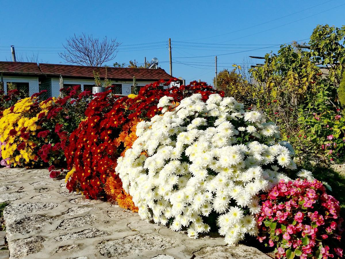 Kosta Bungalows Болгарево Экстерьер фото